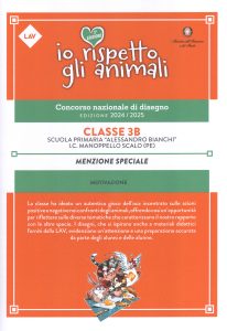 Attestato menzione speciale classe 3B